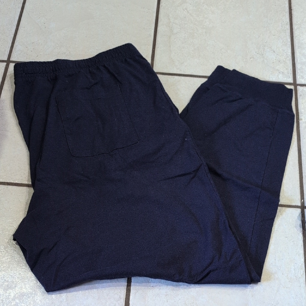 Hanes Men's Navy Blue Pajama Pants
